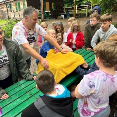 vQUzQWfVHFPCPi4LvxFKTKZsW4p0LEjwWRZTjEym5b44f040-d2e6-430f-bc42-13276d1ca7871000x1000