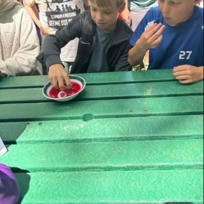 vQUzQWfVHFPCPi4LvxFKwk6eynRB4QVjKiOyIwrw17f916ac-2312-475a-a515-323e101a67fe1000x1000